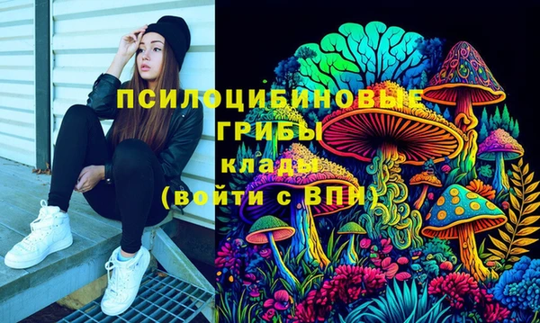 дмт Ладушкин