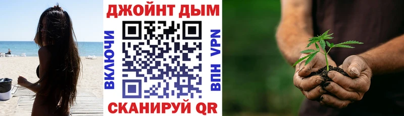 Канабис конопля  дарнет шоп  Карачев 